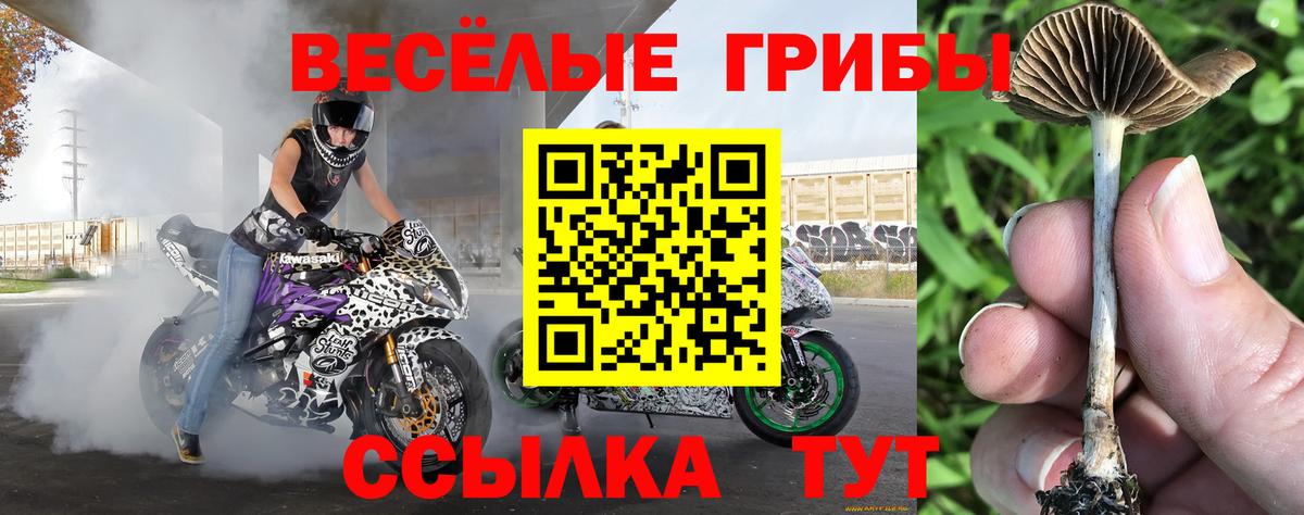 Щёлково  Галлюциногенные грибы мухоморы  Вход с VPN 